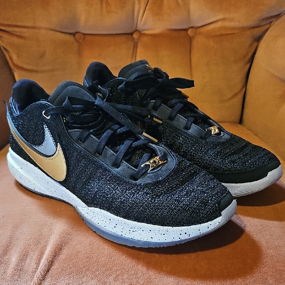 Nike Lebron 20 XX Sz 13